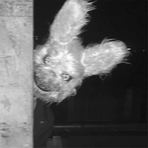 Mascara Conejo Malo para Halloween